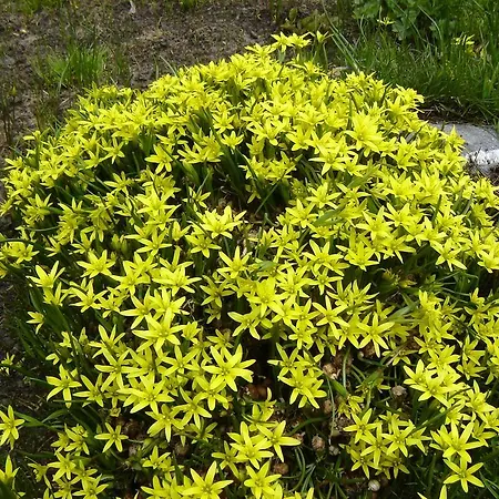 Biancaneve Hotel Oulx