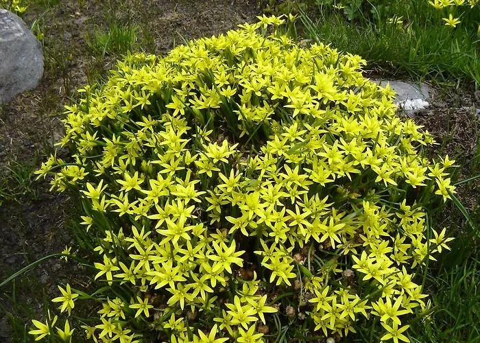 Biancaneve Hotel Oulx